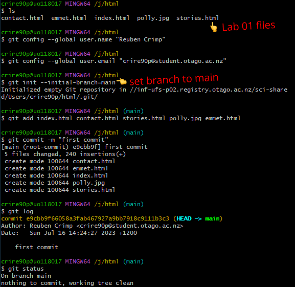 Git init Terminal Example