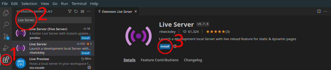 VS Code extension Live Preview